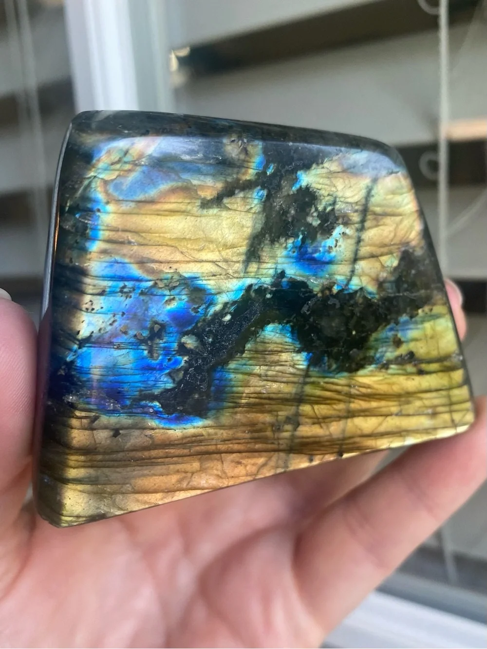 ✨ Golden Sunset Labradorite Freeform ✨